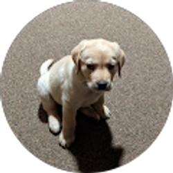 Profile photo of zach Willard