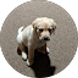 Profile photo of zach Willard