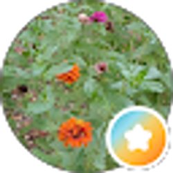 Profile photo of Cheryl Martin