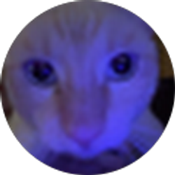 Profile photo of David Vanhook