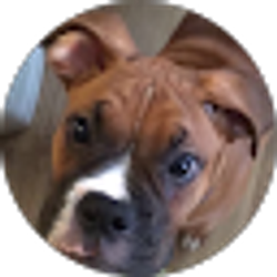 Profile photo of Ana Cro
