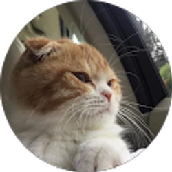 Profile photo of ReOp14