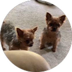 Profile photo of Jennifer Stafford