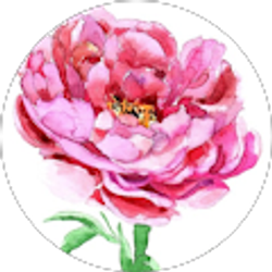 Profile photo of Midwest Molly