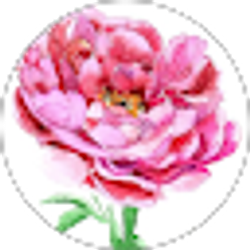 Profile photo of Midwest Molly