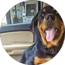 Profile photo of Ashton Owens