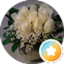 Profile photo of Deb Walsh