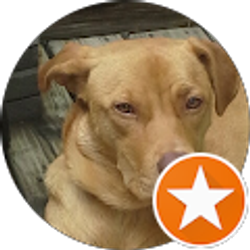 Profile photo of Barb Jennings