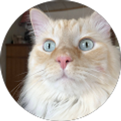 Profile photo of Bonnie Nash