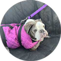 Profile photo of Marina Nallick