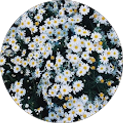 Profile photo of Joselyn Torres