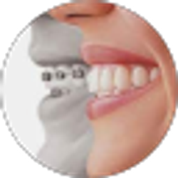 Profile photo of Javier Mora