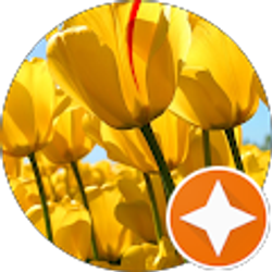 Profile photo of Kirsty Emma