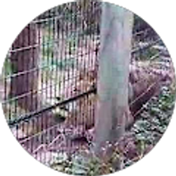 Profile photo of John Quarando