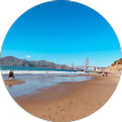 Profile photo of Zhen Liang