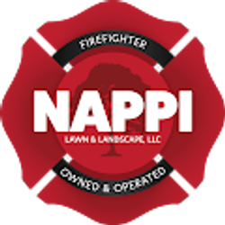 Profile photo of Ryan Nappi