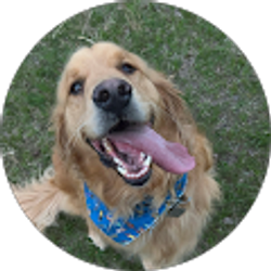 Profile photo of Ally Smith