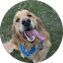 Profile photo of Ally Smith
