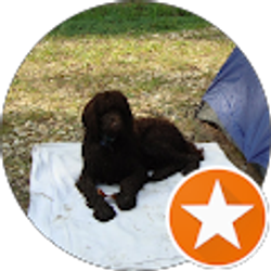 Profile photo of Sara McDale