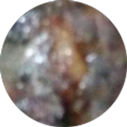 Profile photo of Cory Moran