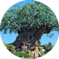 Profile photo of Stormy Wardwell