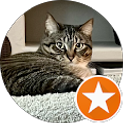 Profile photo of A. Dalal