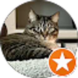 Profile photo of A. Dalal