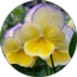 Profile photo of Melissa Lee