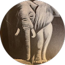 Profile photo of p grubbs