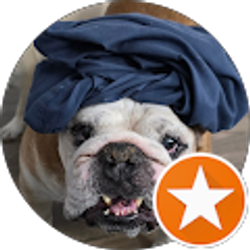 Profile photo of Josh Garling