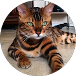 Profile photo of Anthony Leach