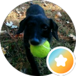 Profile photo of Poppy