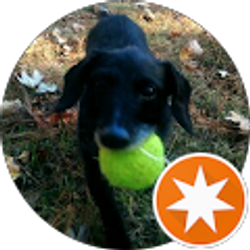 Profile photo of Poppy