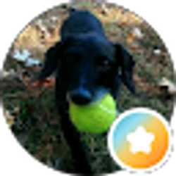 Profile photo of Poppy