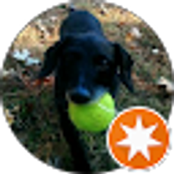 Profile photo of Poppy