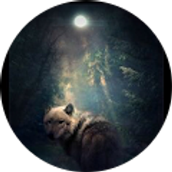 Profile photo of Allana Seely Foster