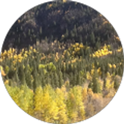 Profile photo of Debbie Chilcutt