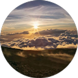 Profile photo of Carey Johnson