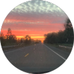 Profile photo of Anna Kavanagh