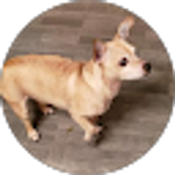 Profile photo of Mary Rocha