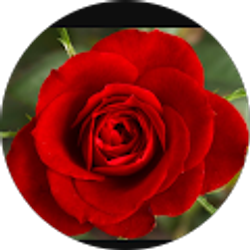 Profile photo of Genice Daniels