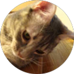 Profile photo of avansino01