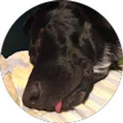 Profile photo of Amy Whaley