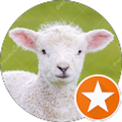 Profile photo of D Lamb