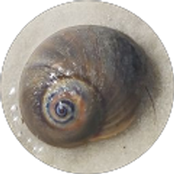 Profile photo of Lisa Preble