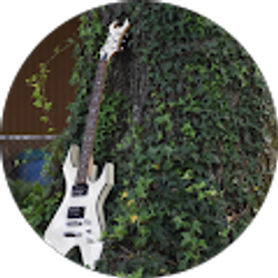 Profile photo of BC RICH