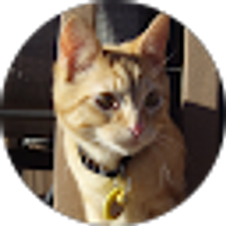 Profile photo of Will Morgan