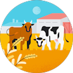 Profile photo of Jillian Scott