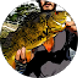 Profile photo of SlikDikDay