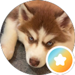 Profile photo of L I
